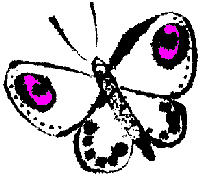 TweeNet Butterfly